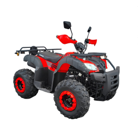 XTR Bashan 200 Quad ATV