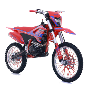 Asix Lizzard 300 21/18" Cross Enduro