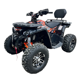 Beretta EGL 200 Quad ATV