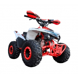 Beretta ATV Kids 110