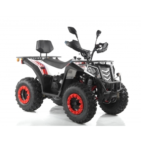 Asix Magnum 250 T3b Quad ATV