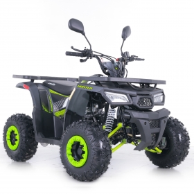 Asix Hunter 110 Quad ATV