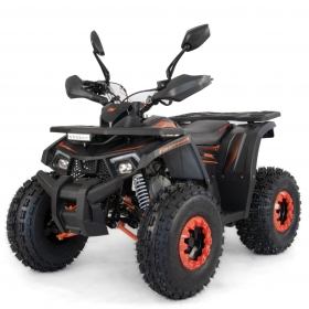 Tao Motor Fourcraft 125 Quad ATV